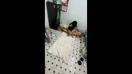 Ghé chơi Phòng trọ và 1 lần bấy nhầy cùng Em MB