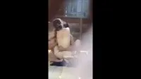 Vê quê cách ly bị bạn trai thôn đâm thốn lồn