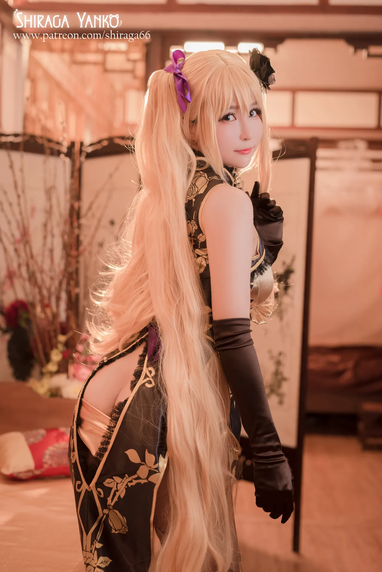 Shiraga Yanko - Jin-Lian Enjou Genmu Tan